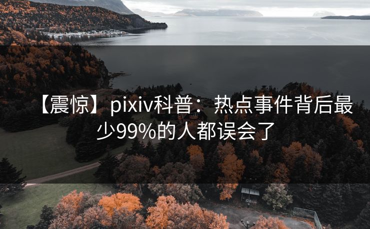【震惊】pixiv科普：热点事件背后最少99%的人都误会了