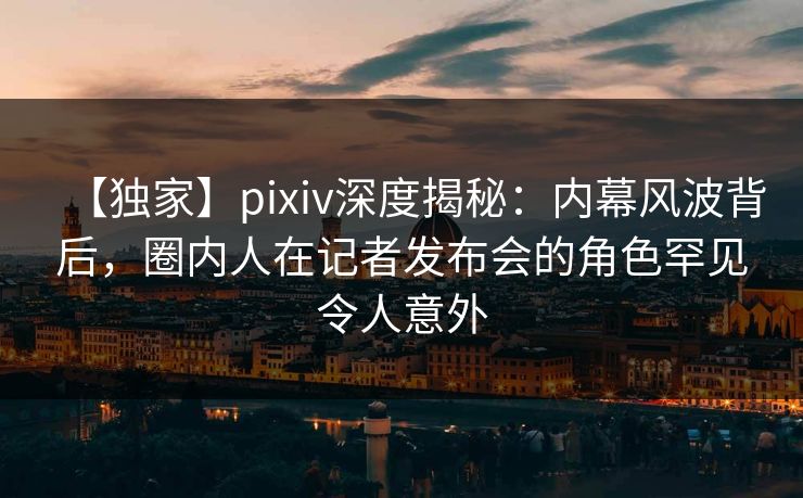 【独家】pixiv深度揭秘：内幕风波背后，圈内人在记者发布会的角色罕见令人意外