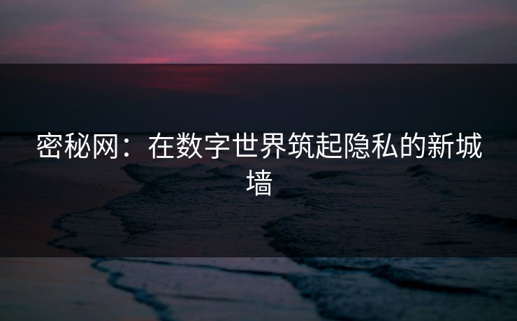 密秘网:在数字世界筑起隐私的新城墙 密秘网:在数字世界筑起隐私的新城墙