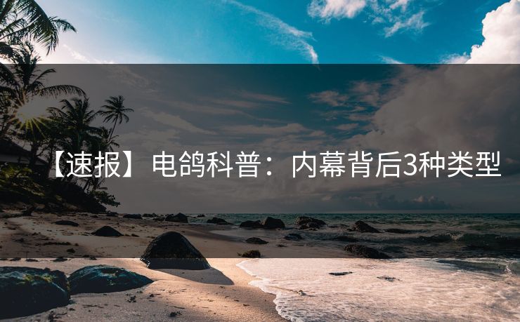【速报】电鸽科普:内幕背后3种类型 【速报】电鸽科普:内幕背后3种类型