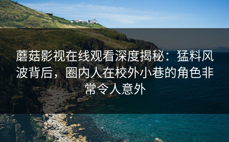 蘑菇影视在线观看深度揭秘:猛料风波背后,圈内人在校外小巷的角色非常令人意外